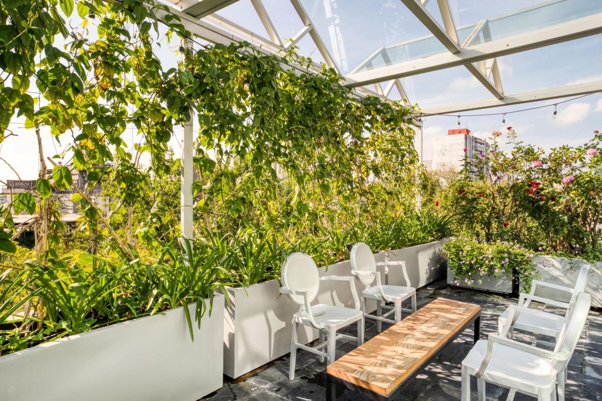 Luxurious Penthouse La Condesa W Terrace Apartment